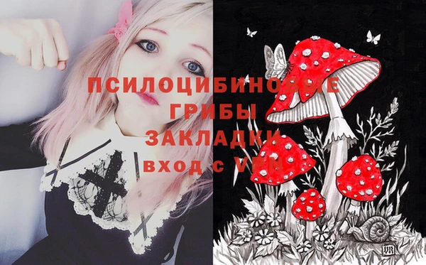 марки lsd Медногорск